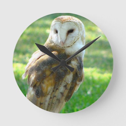 Barn Owl View Round Clock