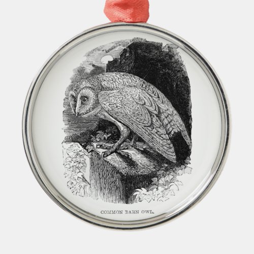 Barn Owl vintage illustration graphic art Metal Ornament