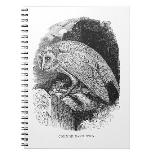 Barn Owl vintage illustration graphic art Notebook