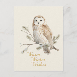 Barn Owl Warm Winter Wishes Watercolor Holiday Postcard