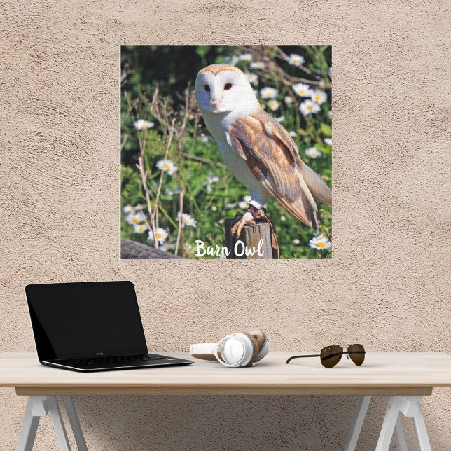 Barn Owl White Face Stretched Canvas Print (Creator Uploaded)