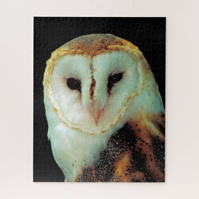 Barn Owls -Birds of Prey. Jigsaw Puzzle (Vertical)