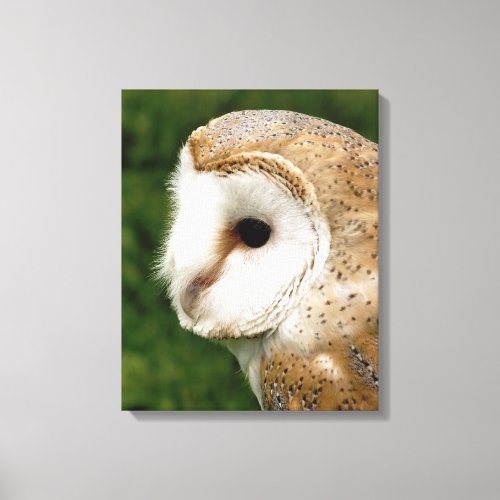 BARN OWLS CANVAS PRINT