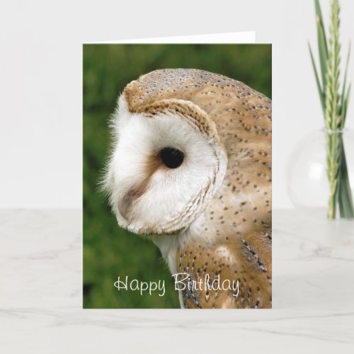 BARN OWLS CARD