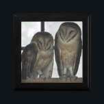 Barn Owls Gift Box<br><div class="desc">A park of cute Barn Owls adorn this gift box!</div>