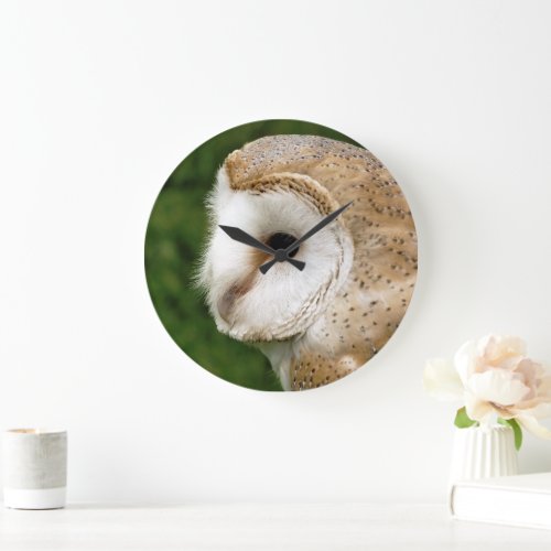 BARN OWLS LARGE CLOCK