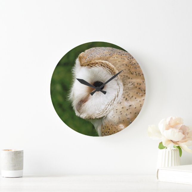 BARN OWLS LARGE CLOCK (Home)