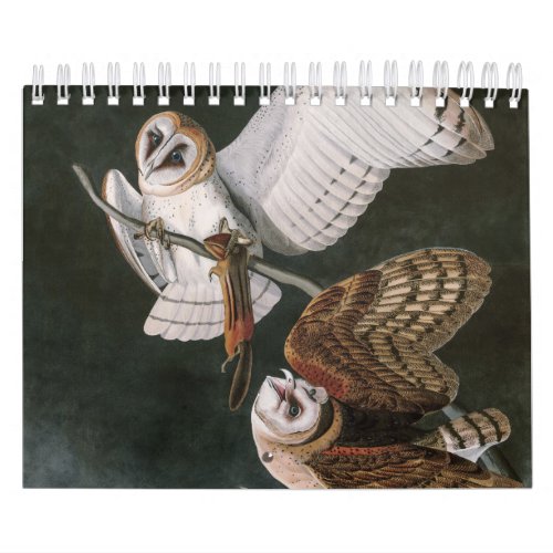 Barn Owls the Birds of America John James Audubon Calendar