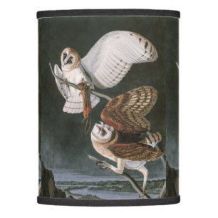 Barn Owls, the Birds of America John James Audubon Lamp Shade