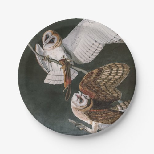 Barn Owls the Birds of America John James Audubon Paper Plates