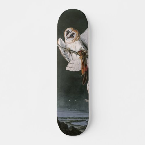 Barn Owls the Birds of America John James Audubon Skateboard