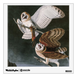 Barn Owls, the Birds of America John James Audubon Wall Decal
