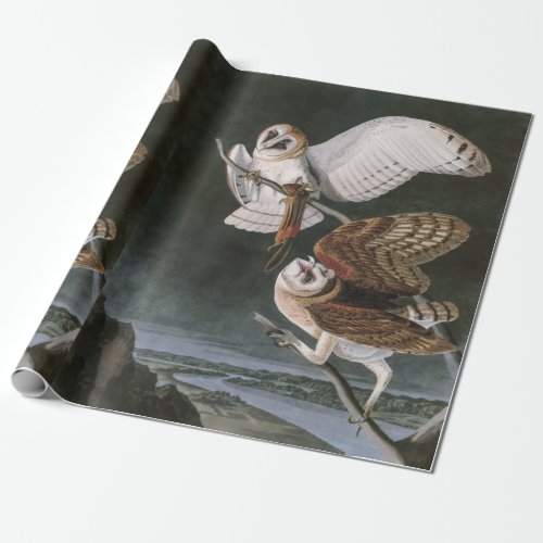 Barn Owls the Birds of America John James Audubon Wrapping Paper