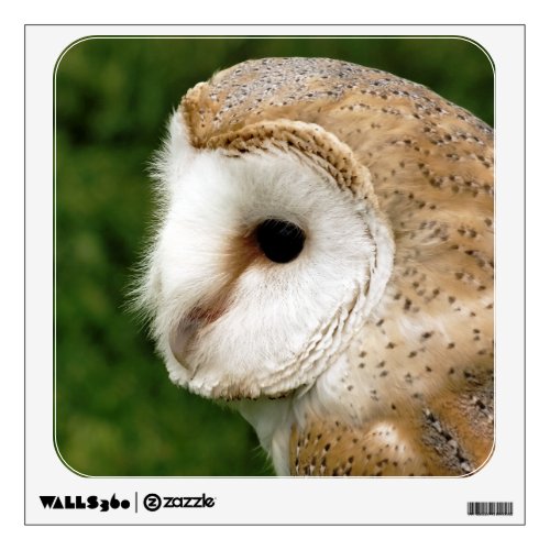 BARN OWLS WALL STICKER