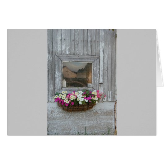Barn Reflection Cards (Front Horizontal)