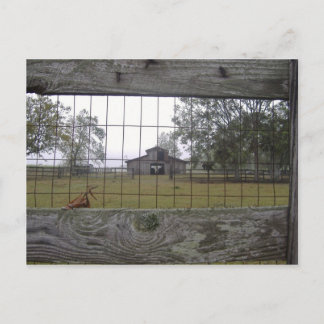 Barn scene postcard