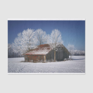 Barn Surrounded With Winter Trees Tissue Paper