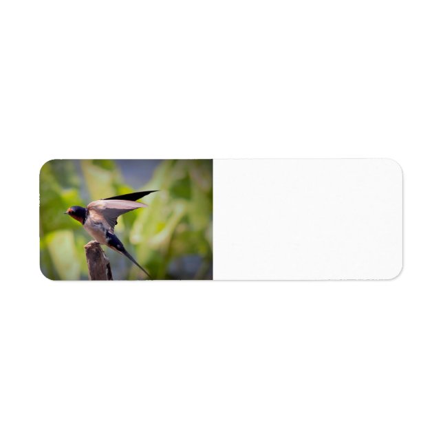 Barn Swallow Address Labels (Front)
