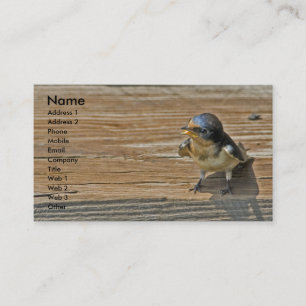 Barn Swallow Business Card