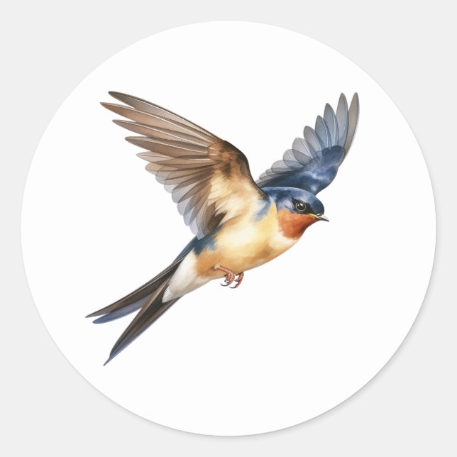 Barn Swallow Classic Round Sticker (Front)