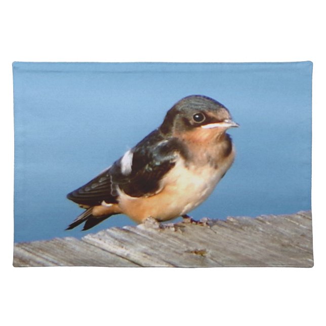 Barn Swallow cloth placemat (Front)