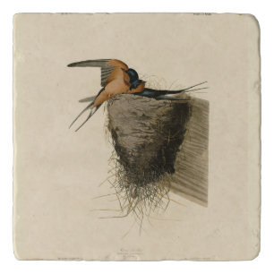 Barn Swallow from Audubon's Birds of America Trivet