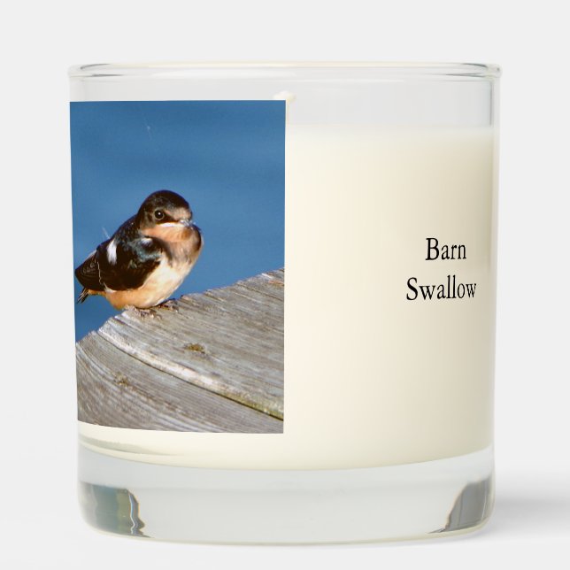 Barn Swallow glass candle (Front)