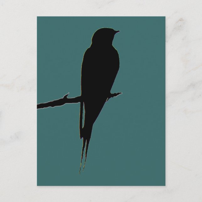 Barn Swallow green Postcard (Front)