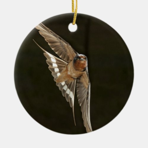 Barn Swallow in flight Ceramic Ornament