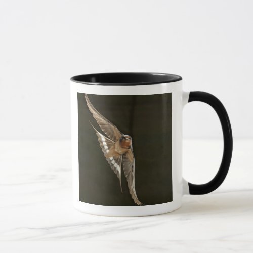 Barn Swallow in flight Mug