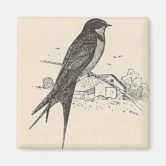 Barn Swallow Magnet