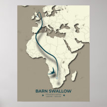Barn Swallow Migration Map – Minimalist Vintage