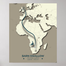 Barn Swallow Migration Map – Minimalist Vintage