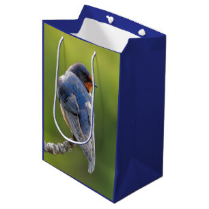 Barn Swallow on a Branch Medium Gift Bag