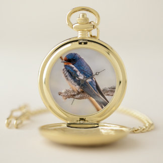 Barn Swallow, Orange Throat and Blue Wings Pocket Watch