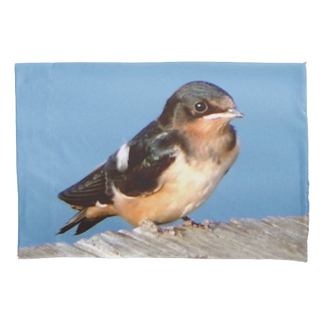 Barn Swallow pillowcase (Front)