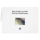 Barn Swallow Series Cards (Back Horizontal)