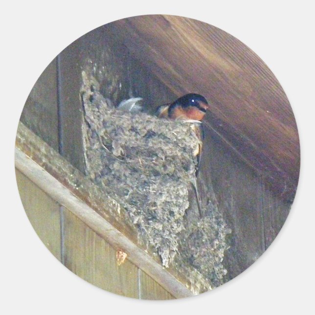 Barn Swallow Series Classic Round Sticker (Front)