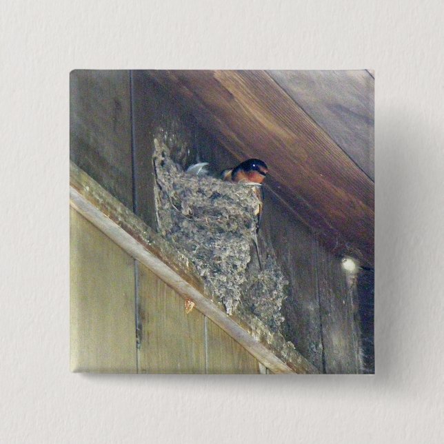 Barn Swallow Series Pinback Button (Front)
