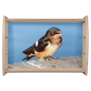 Barn Swallow serving trays