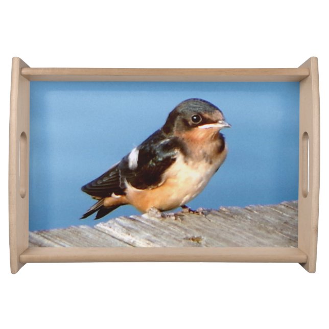 Barn Swallow serving trays (Front)