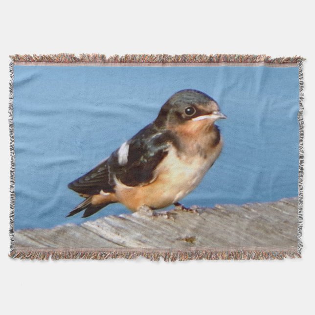 Barn Swallow throw blanket (Front)