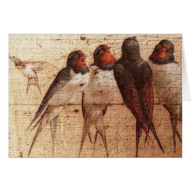 Barn Swallows Cards (Front Horizontal)