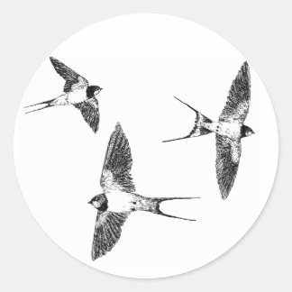 Barn swallows classic round sticker