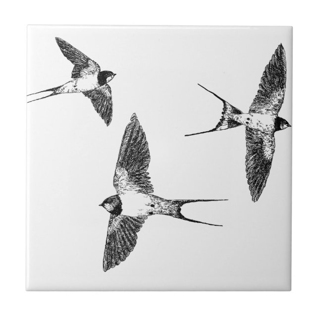 Barn swallows tile (Front)