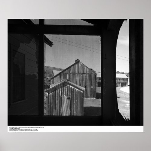 Barn through Screen of Old Cookhouse 1962 Poster