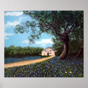 Barn with Bluebonnets Poster