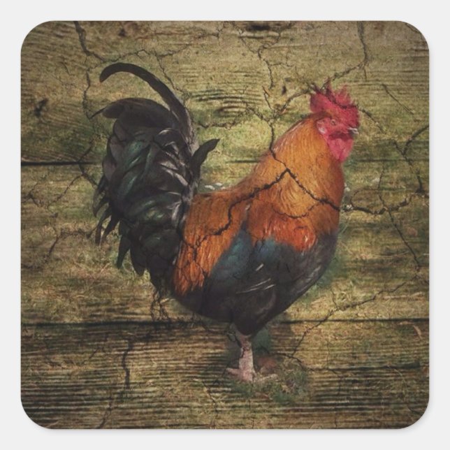 Barn Wood Farm Chicken french country rooster Square Sticker (Front)
