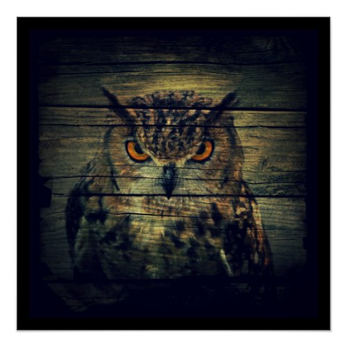 Barn Wood Gothic wild bird Spooky hoot owl Poster