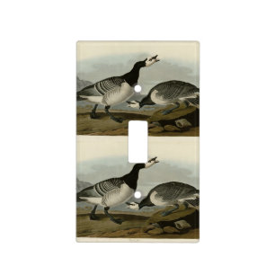 Barnacle Goose - from Audubon's Birds of America Light Switch Cover